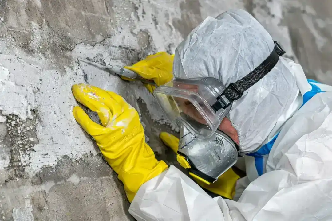 Asbestos Removal Chelsea