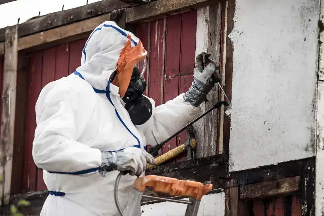 Asbestos Removal Frankston