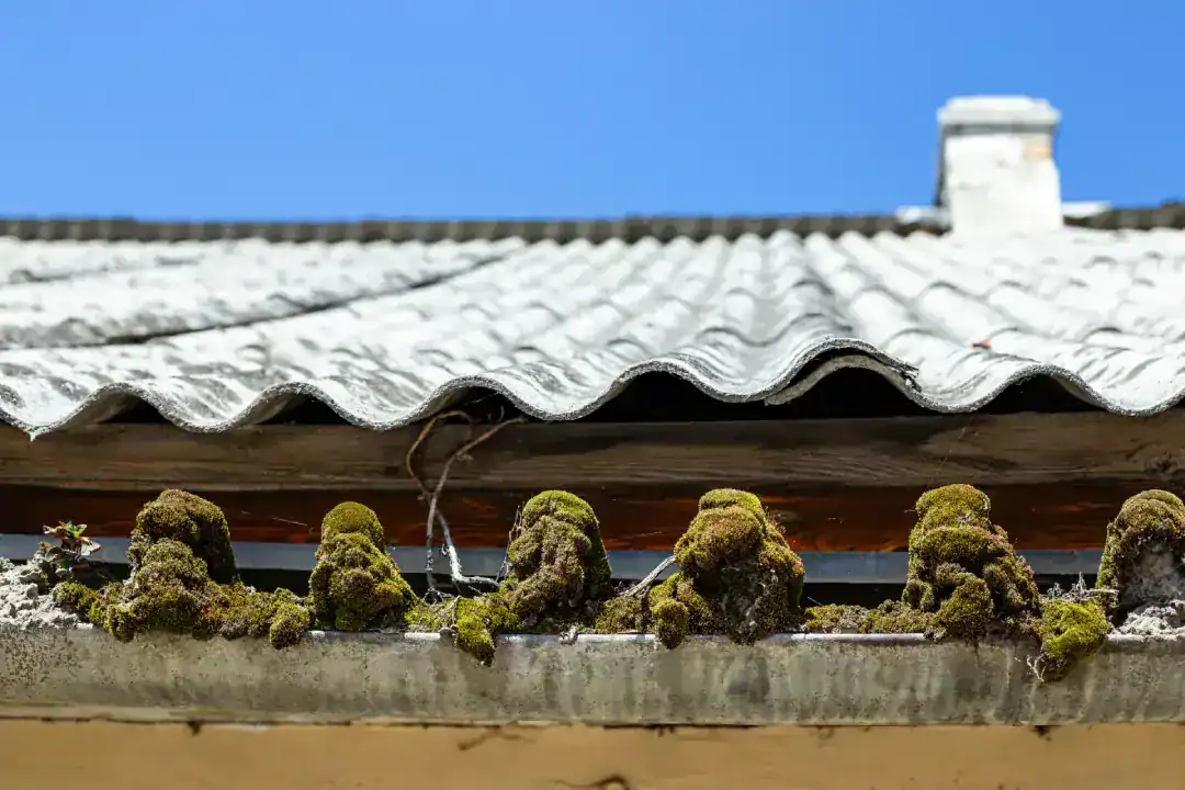 Asbestos Removal Brooklyn