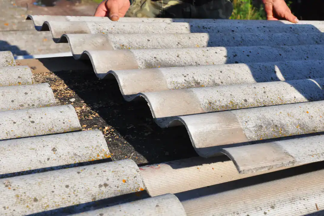 Asbestos Removal Kingsville